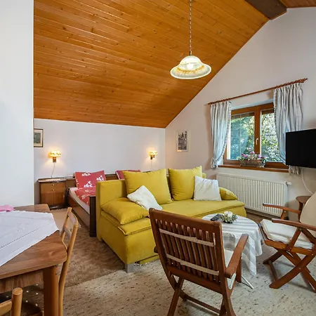 Clematis * Trenčianské Teplice