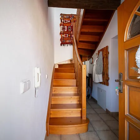 Clematis * Trenčianské Teplice