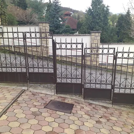 Clematis * Trenčianske Teplice