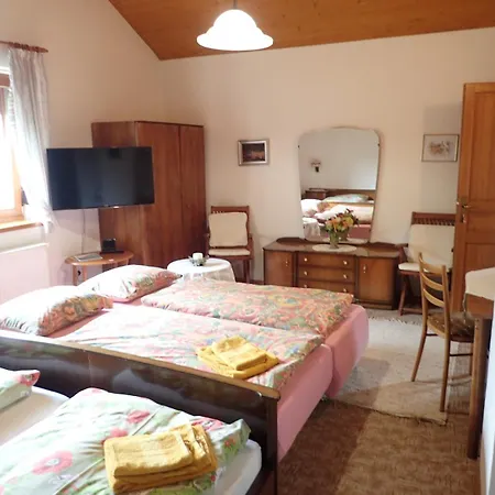 Privat bolig Clematis Trenčianske Teplice