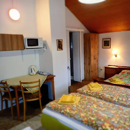 Clematis Trenčianské Teplice