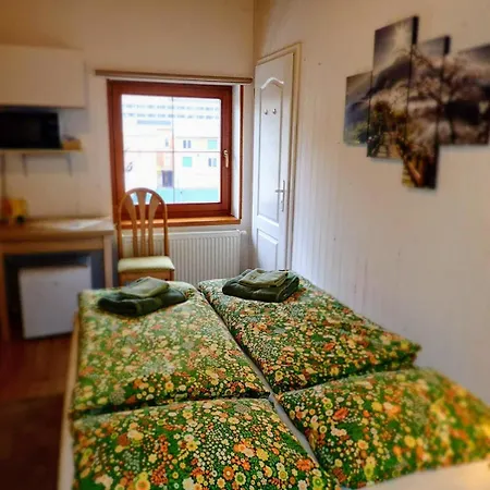 Clematis * Trenčianske Teplice