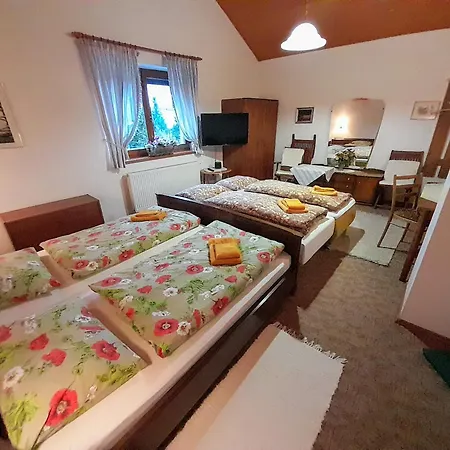 Ubytování v soukromí Clematis