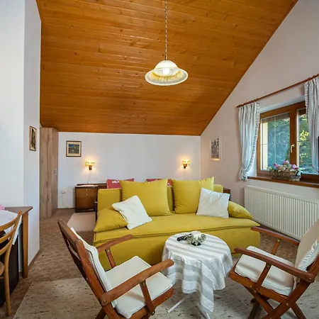 Clematis Trenčianske Teplice