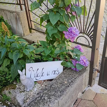 Ubytovanie v rodine Clematis Trencianske Teplice