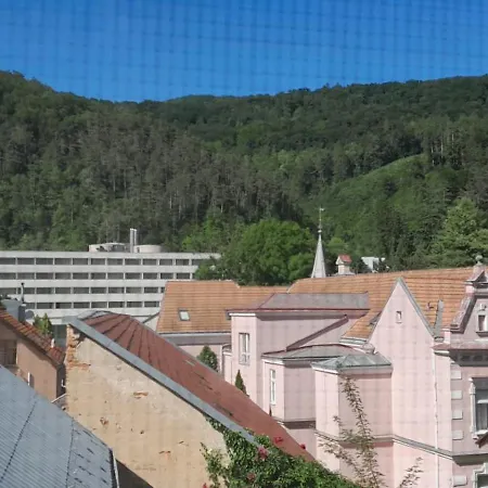 Clematis Trenčianske Teplice