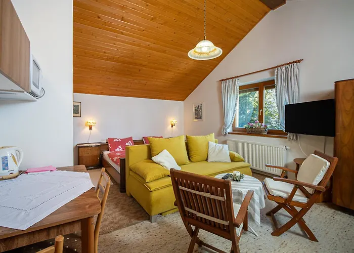 Clematis * Trenčianske Teplice