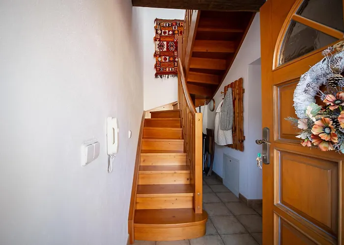 Clematis * Trenčianske Teplice