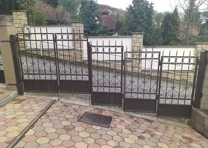 Clematis * Trenčianske Teplice