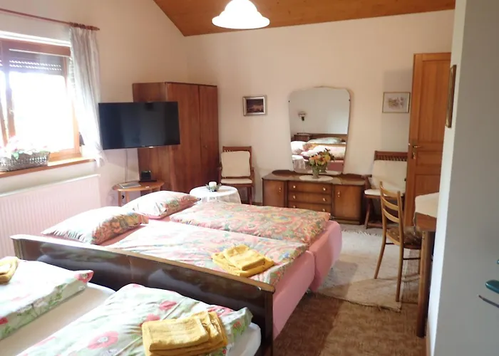Accommodatie bij particulieren Clematis Trenčianske Teplice
