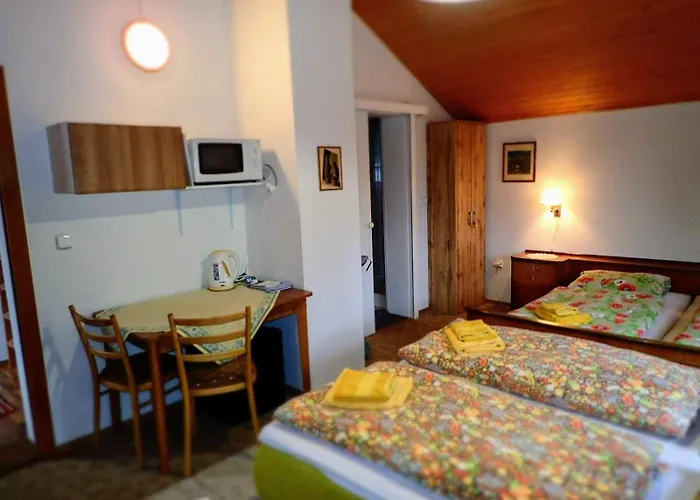 Clematis Trenčianske Teplice