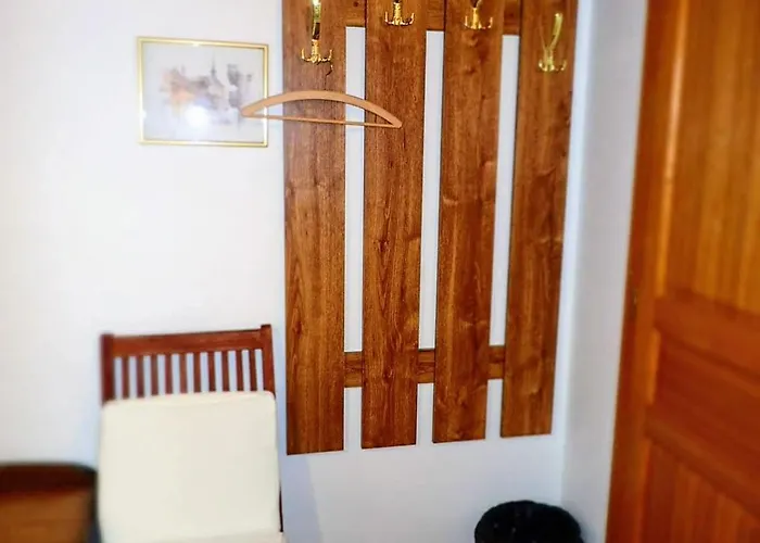 Clematis Trenczyńskie Cieplice