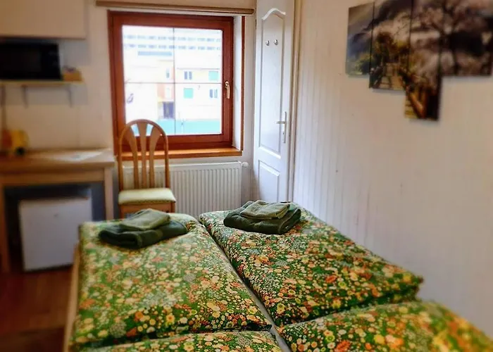 Clematis * Trenčianske Teplice