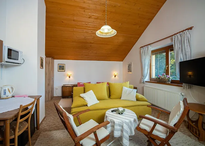 Clematis Trenčianske Teplice