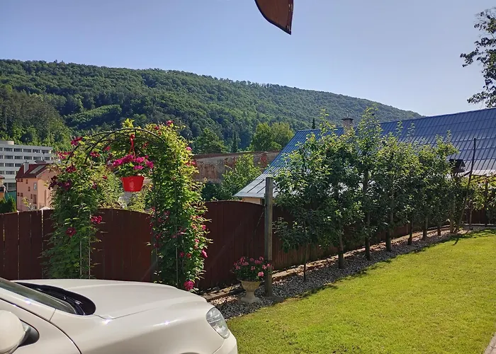 Clematis Séjour chez l'habitant Trenčianske Teplice